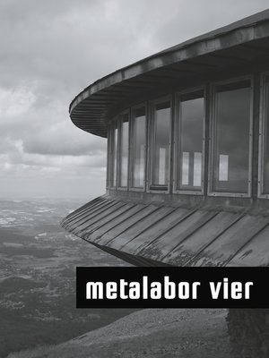 cover image of metalabor vier